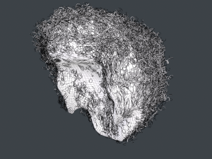 Male Hair Cards Style 14 - Curly Hair 4 3D Model