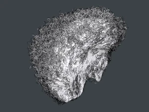 Male Hair Cards Style 14 - Curly Hair 4 3D Model