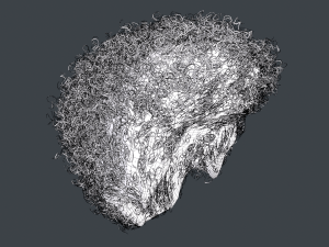 Male Hair Cards Style 14 - Curly Hair 4 3D Model