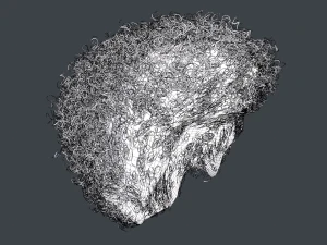 Male Hair Cards Style 14 - Curly Hair 4 3D Model
