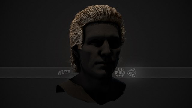 Male Hair Cards Style 1 - Medium Model 3D .c4d .max .obj .3ds .fbx .stl .blend 