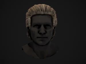 Male Hair Cards Style 1 - Medium 3D Model