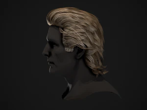 Male Hair Cards Style 1 - Medium 3D Model