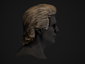 Male Hair Cards Style 1 - Medium Model 3D