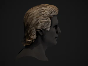 Male Hair Cards Style 1 - Medium 3D Model