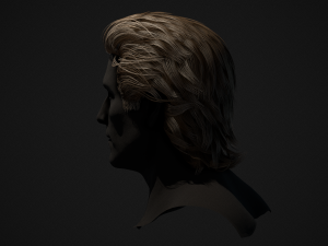 Male Hair Cards Style 1 - Medium Model 3D