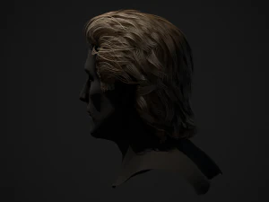 Male Hair Cards Style 1 - Medium 3D Model