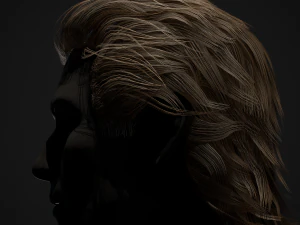 Male Hair Cards Style 1 - Medium 3D Model