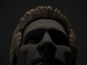 Male Hair Cards Style 1 - Medium 3D Model
