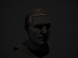 Male Hair Cards Style 1 - Medium 3D Model
