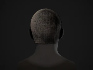 Male Hair Cards Style 1 - Medium 3D Model