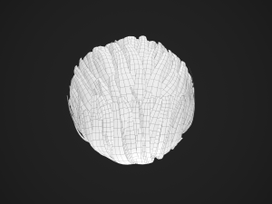 Male Hair Cards Style 1 - Medium Model 3D
