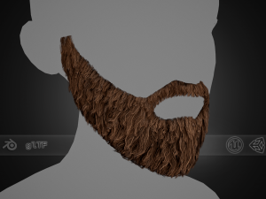Facial Hair Cards Style 1 - Full Beard 1 3D Model