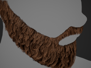 Facial Hair Cards Style 1 - Full Beard 1 Model 3D