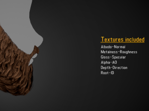 Facial Hair Cards Style 1 - Full Beard 1 Model 3D