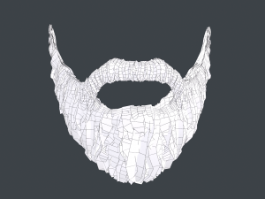 Facial Hair Cards Style 1 - Full Beard 1 Model 3D