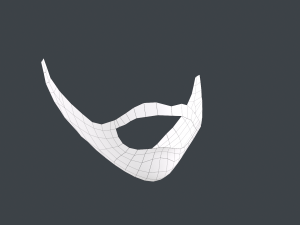 Facial Hair Cards Style 1 - Full Beard 1 Model 3D