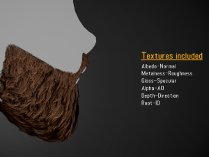Facial Hair Cards Style 2 - Full Beard 2 Modèle 3D