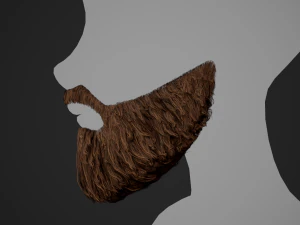 Facial Hair Cards Style 2 - Full Beard 2 3D Model