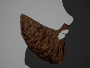 Facial Hair Cards Style 2 - Full Beard 2 3D Model