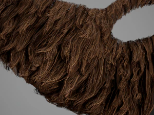 Facial Hair Cards Style 2 - Full Beard 2 3D Model