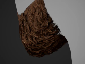 Facial Hair Cards Style 2 - Full Beard 2 3D Model