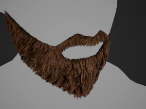 Facial Hair Cards Style 2 - Full Beard 2 3D Model