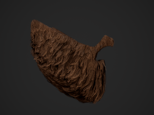 Facial Hair Cards Style 2 - Full Beard 2 Modèle 3D