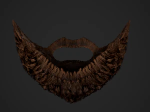 Facial Hair Cards Style 2 - Full Beard 2 3D Model