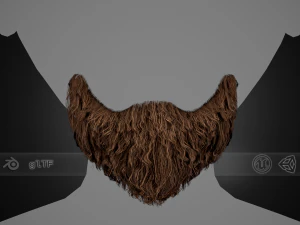 Carte per peli del viso Stile 3 - Barba con pizzetto Modello 3D