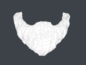 Facial Hair Cards Style 3 - Goatee Beard Modèle 3D