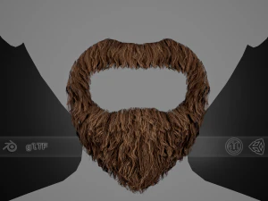 Cartes de poils du visage Style 4 - Barbe circulaire Modèle 3D