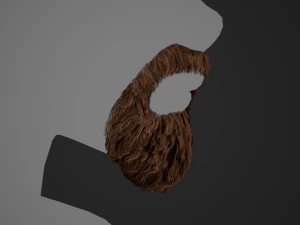 Facial Hair Cards Style 4 - Circle Beard 3D Model