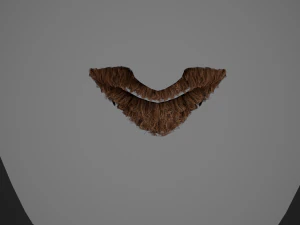 Facial Hair Cards Style 4 - Circle Beard 3D Model
