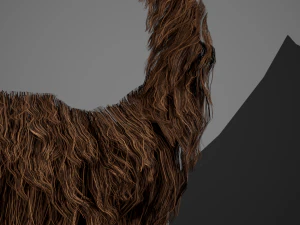 Facial Hair Cards Style 4 - Circle Beard 3D Model