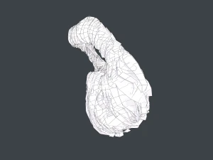 Facial Hair Cards Style 4 - Circle Beard 3D Model
