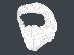 Facial Hair Cards Style 4 - Circle Beard 3D Model