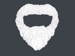 Facial Hair Cards Style 4 - Circle Beard Modelo 3D
