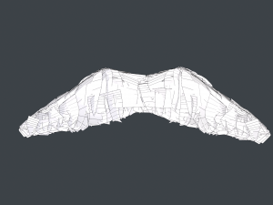 Facial Hair Cards Style 5 - Mustache 3D Модель