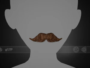 Cartes de poils du visage Style 6 - Moustache hongroise Modèle 3D