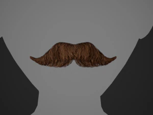 Cart&otilde;es de P&ecirc;los Faciais Estilo 6 - Bigode H&uacute;ngaro Modelo 3D