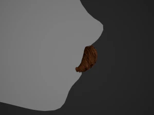 Cart&otilde;es de P&ecirc;los Faciais Estilo 6 - Bigode H&uacute;ngaro Modelo 3D