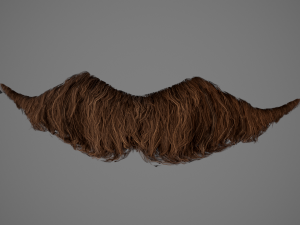 Facial Hair Cards Style 6 - Hungarian Mustache 3D Model