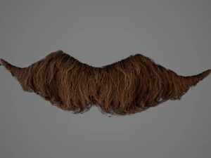 Cart&otilde;es de P&ecirc;los Faciais Estilo 6 - Bigode H&uacute;ngaro Modelo 3D