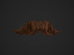 Cart&otilde;es de P&ecirc;los Faciais Estilo 6 - Bigode H&uacute;ngaro Modelo 3D