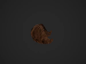 Cart&otilde;es de P&ecirc;los Faciais Estilo 6 - Bigode H&uacute;ngaro Modelo 3D