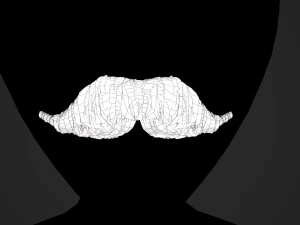 Cart&otilde;es de P&ecirc;los Faciais Estilo 6 - Bigode H&uacute;ngaro Modelo 3D