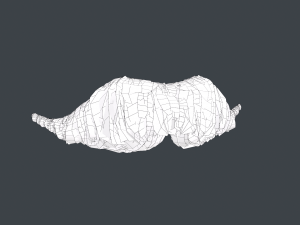 Facial Hair Cards Style 6 - Hungarian Mustache 3D Model