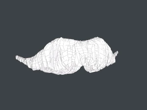 Cart&otilde;es de P&ecirc;los Faciais Estilo 6 - Bigode H&uacute;ngaro Modelo 3D
