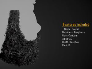 Facial Hair Cards Style 7 - Full Curly Beard Model 3D